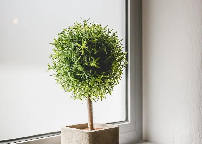 公寓式酒店 Votsalo