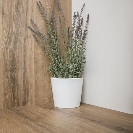 Votsalo Apart-hotel 4*