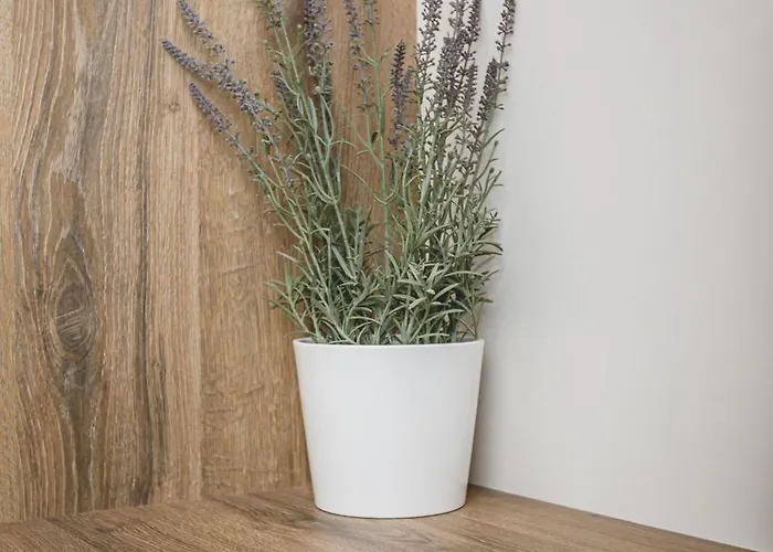 Votsalo Aparthotel 4*